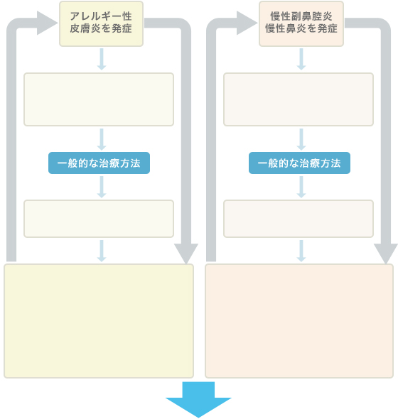 アレルギー性皮膚炎、慢性副鼻腔炎、慢性鼻炎を発症